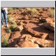 Kings Canyon Spinifex Pidgeon.jpg